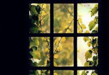 Сочинение на тему вид из окна осенью Рассказ вид из моего окна